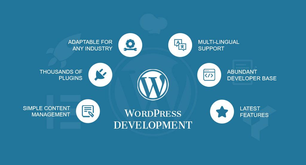What Is a WordPress Developer?  